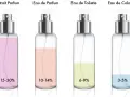 Was ist der Unterschied zwischen Eau de Toilette und Parfum? Die wichtigsten Fakten