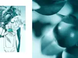 Tiffany und Co Parfum bei Müller: Finde deinen perfekten Duft